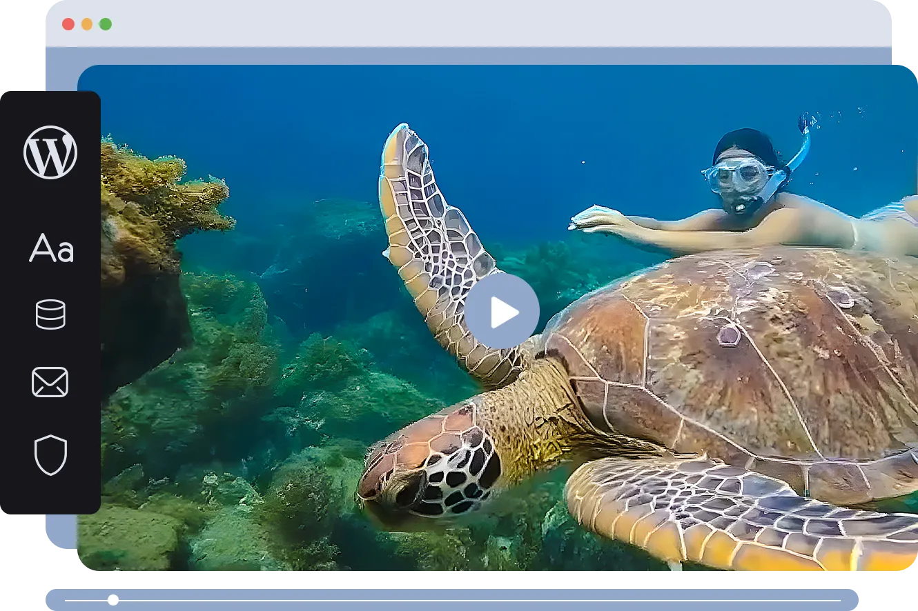 Portfólio